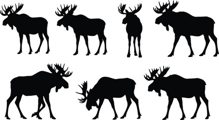 Vector Silhouettes of Majestic Moose, showcasing various standing and walking poses for wildlife, nature, and outdoor-themed design projects.