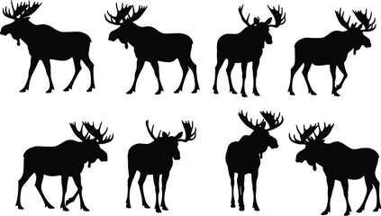 Vector Silhouettes of Majestic Moose, showcasing various standing and walking poses for wildlife, nature, and outdoor-themed design projects.
