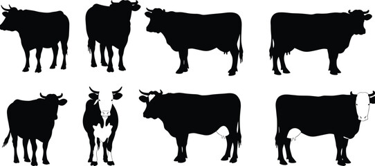 Collection of black and white cow silhouettes, showcasing various standing and looking poses for agriculture, dairy, and farm animal design projects.