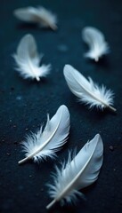Obraz premium Delicate White Feathers Scattered on Dark Surface Ethereal Background Texture for Purity, Lightness, and Innocence