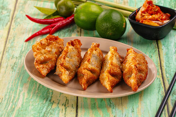 Asian fried stuffed dumplings gyoza