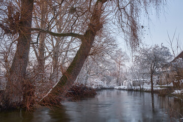 Fototapeta premium cold winter in the outdoor