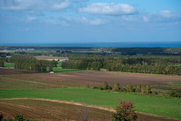 Obraz premium 海を望む広大な農地の風景
