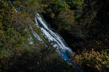 木々に囲まれた山間の滝流