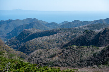 Obraz premium 枯れ木が広がる山並みと遠くに望む海