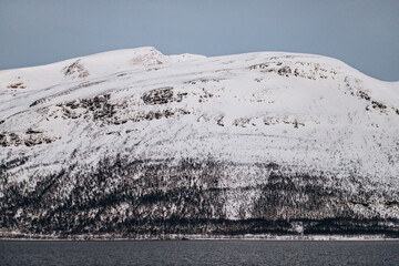 A monumental, snow-covered mountain with a dense forest base rises majestically above the calm,...