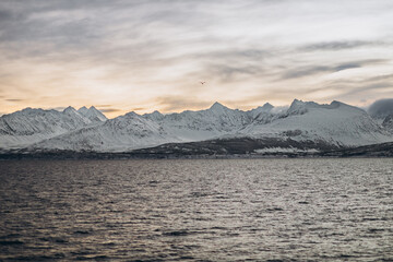 A majestic landscape featuring snow-capped mountains surrounding a calm, slightly rippling body of water. The sunrise or sunset on the horizon gives the image a mystical atmosphere.