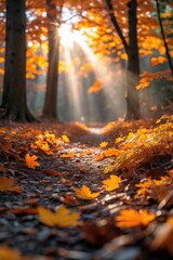 Warm Sunlit Woodland Path Surrounded by Vibrant Autumn Foliage