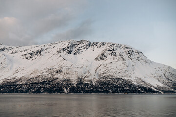 A monumental, snow-covered mountain with a dense forest base rises majestically above the calm, grey water of a fjord, creating a powerful and serene winter scene.