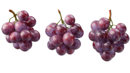 Brightly colored clusters of purple grapes display their shiny skins, inviting a closer look at their juicy allure