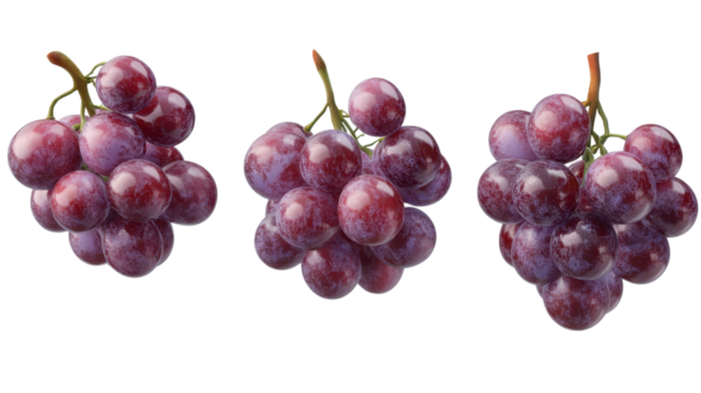 Brightly colored clusters of purple grapes display their shiny skins, inviting a closer look at their juicy allure