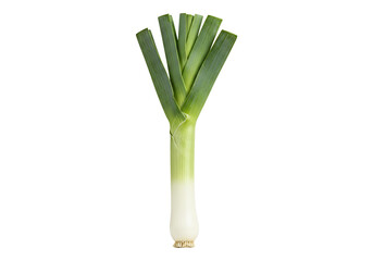 Single fresh leek vegetable isolated on transparent background food ingredient
