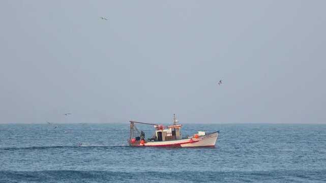 Fishermen unload fresh catch on a boat in open sea, seagulls flying overhead on a clear sunny day. Filmed in 4K.