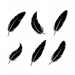 Set of black feather silhouettes isolated on white background