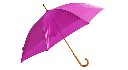 Isolated Purple Umbrella