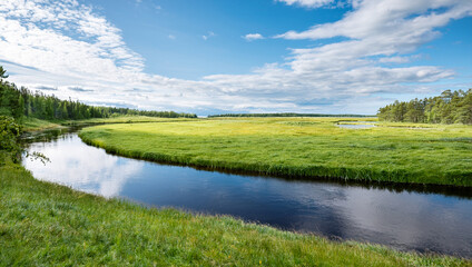 summer landscape with river