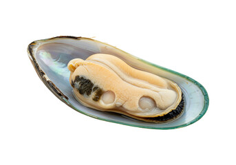 Single open cooked mussel seafood gourmet delicacy