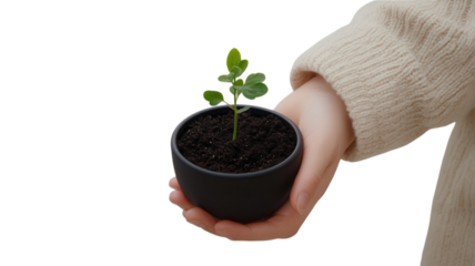 A young plant is cradled in a hand, showcasing new growth in a small pot filled with soil