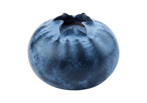 Single blueberry detailed close up still life food ingredient fruit