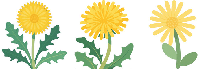 Fototapeta premium タンポポ 花 植物 イラスト