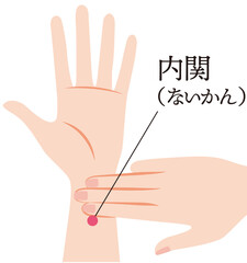 手のツボ　内関
