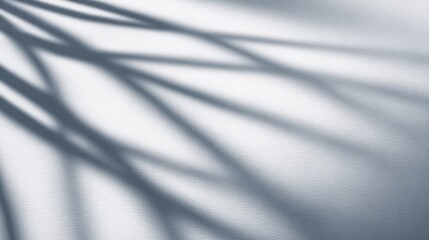 Fototapeta premium Shadows of delicate plant leaves cast on a textured white surface, creating a serene and artistic ambiance