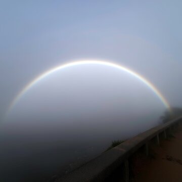 Photograph of a fogbow appearing in thick misty conditions over a calm lake