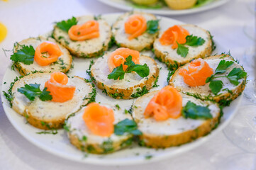 delicious food, closeup view. catering