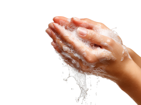 Clean hands washing soap bubbles hygiene skincare, Isolated On White Background, Png Transparent