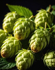 Obraz premium Close-up of fresh green hops with leaves in natural light