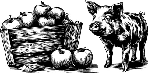 Vintage farmyard scene with engraved pig and rustic apple basket for retro label design