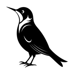 Fototapeta premium Treecreeper vector clean black silhouette design white background