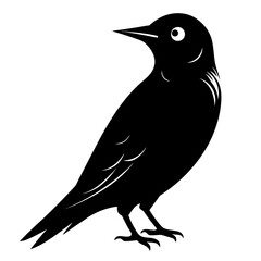 Treecreeper vector clean black silhouette design white background