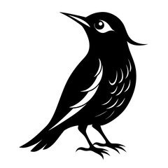 Treecreeper vector clean black silhouette design white background