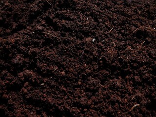 Natural ground soil texture background. Top view of fertile land mixed with peat for agriculture...