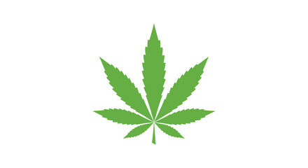 Single green cannabis leaf isolated on white background for medical or recreational use