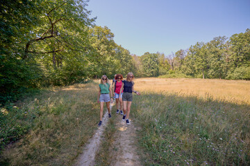 Fototapeta premium A group of people hiking through the forest and relaxing on a sunny summer day