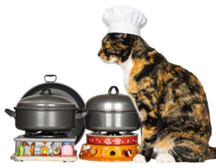  Angled Side View Cat in Tiny Chef Hat Whimsical Cooking Scene Transparent Background PNG
