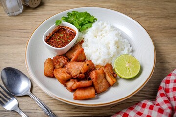 Fried Pork with Rice with Thai Style Sauce , top view, thai call kao moo tod	