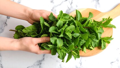 Fresh mint leaves held above marble countertop, ultra-realistic texture, cinematic lighting, face hidden