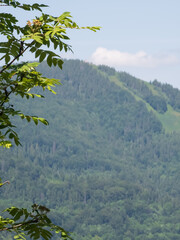 A sweeping view of lush mountains under a bright blue sky with wispy clouds, perfect for travel ads, outdoor gear, or nature-inspired branding