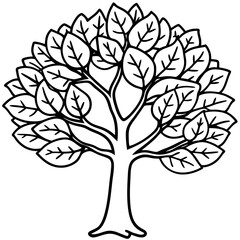 Fig Tree line art vector