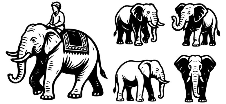 Elephant Rider Model