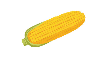 Single ear of corn with husk isolated on white background vector illustration