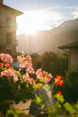 Fototapety na wymiar - Fototapeta24.pl