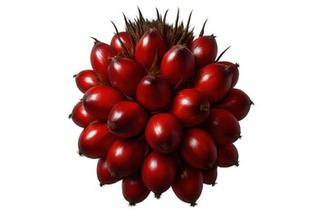 Close-up red palm fruit cluster, ripe small berries clustering densely, transparent background showcasing agricultural produce detail
