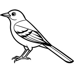 Nightingale line art vector