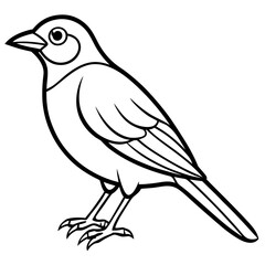 Nightingale line art vector
