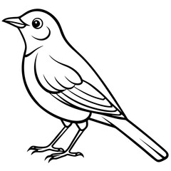 Obraz premium Nightingale line art vector