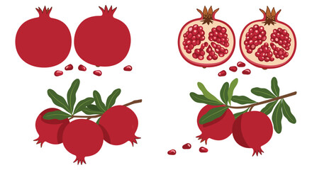 Pomegranate Fruit Illustrations Whole and Cut